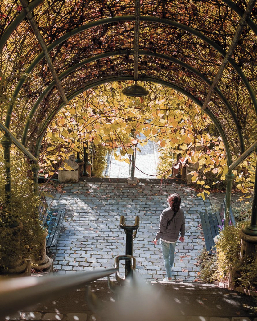 Balade d’automne : 10 choses à savoir sur le parc de Belleville