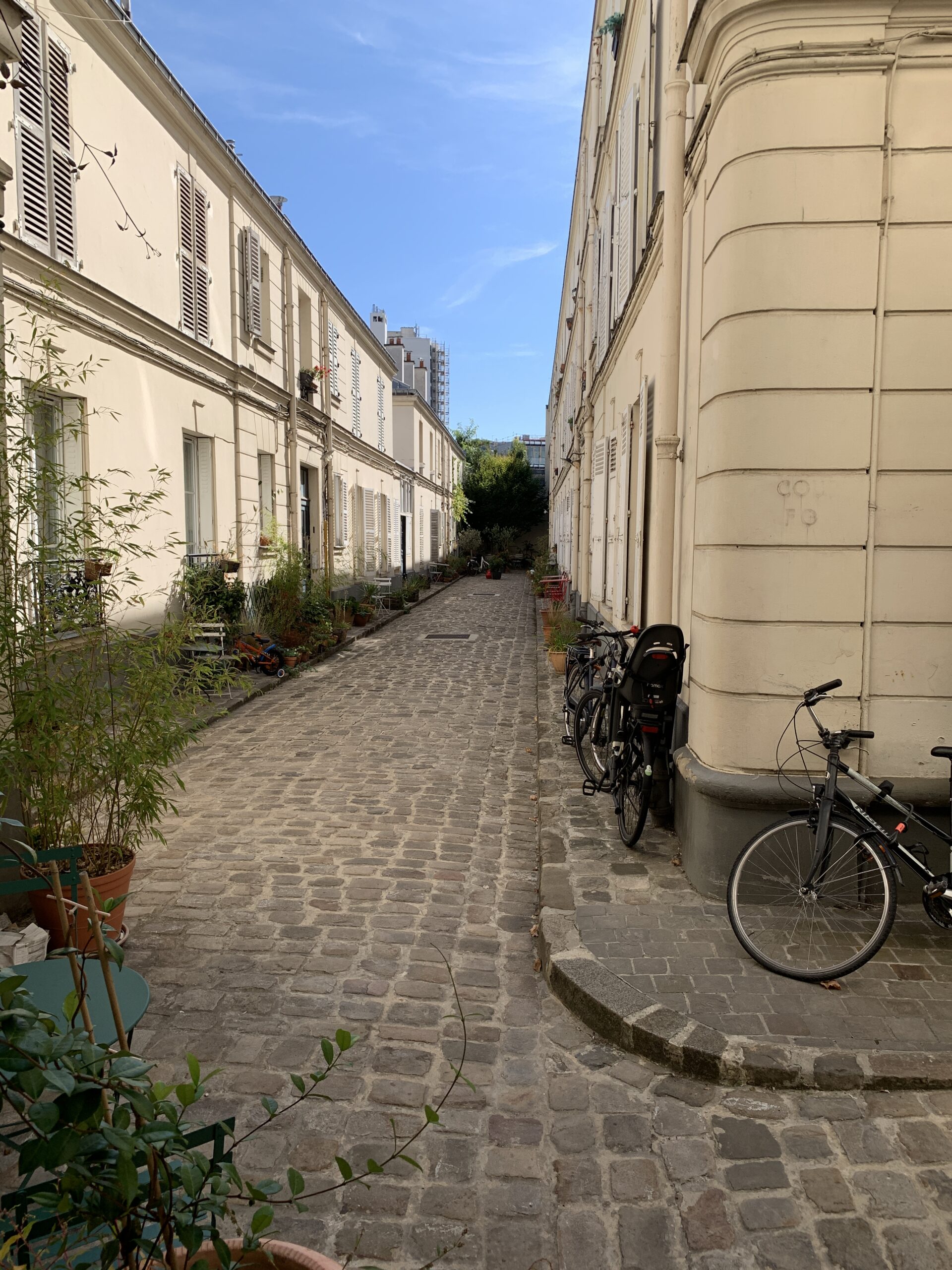 Cours parisiennes : et si vous végétalisiez celle de votre immeuble ?