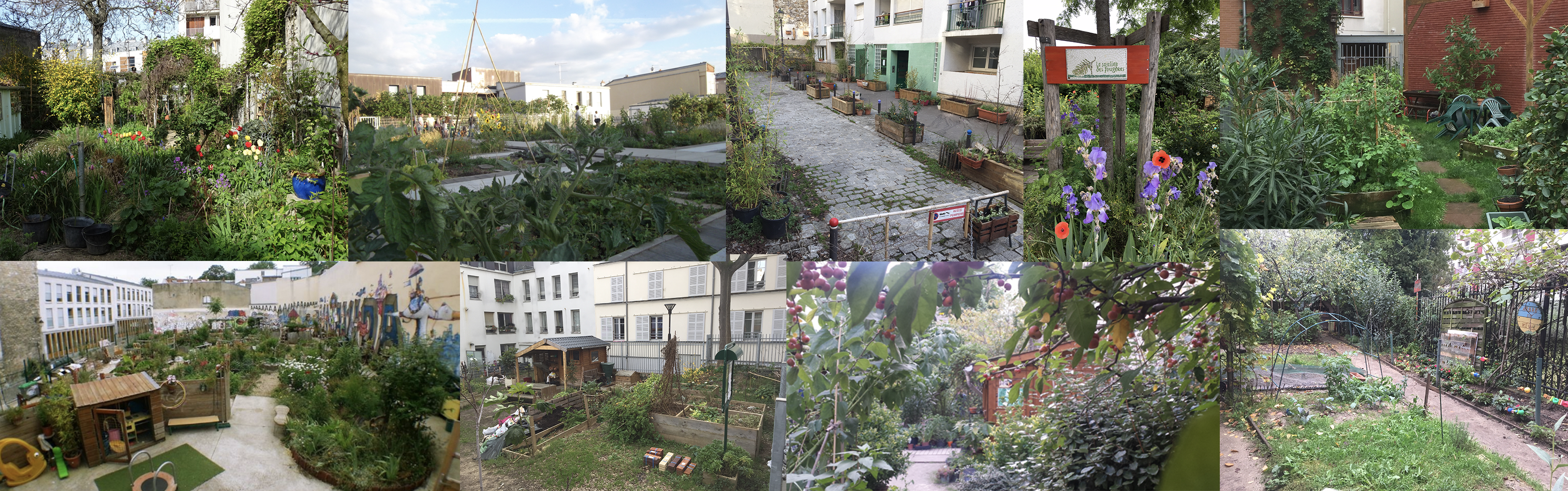 L’asso Jardivingt se propose de vous équiper pour végétaliser le 20e arrondissement