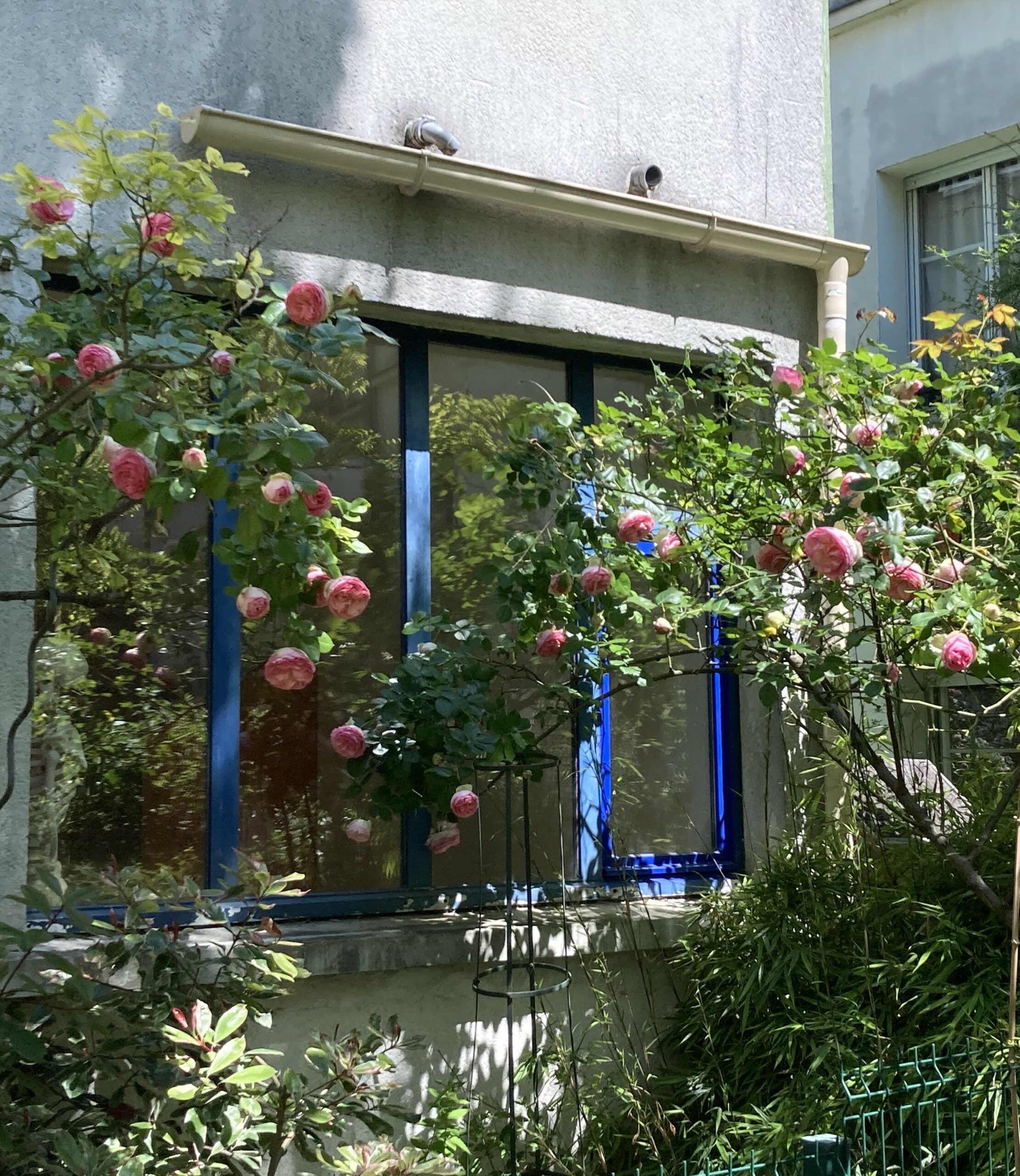 Chez Nata Yoga à Alexandre Dumas : un couple franco-américain qui vous veut du bien