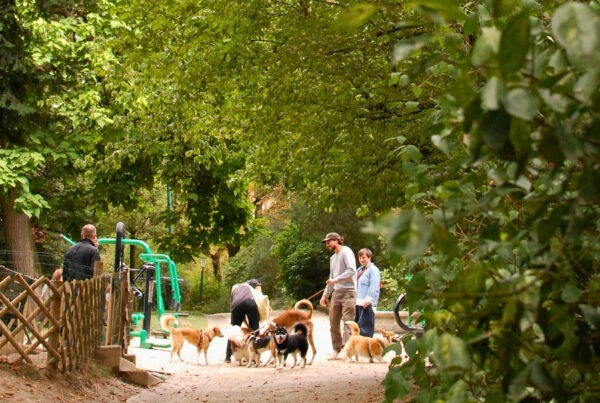 Espace Canin - Jardin Samuel de Champlain - Rue des Rondeaux - Paris - 20e arrondissement © Charlène Gilouppe