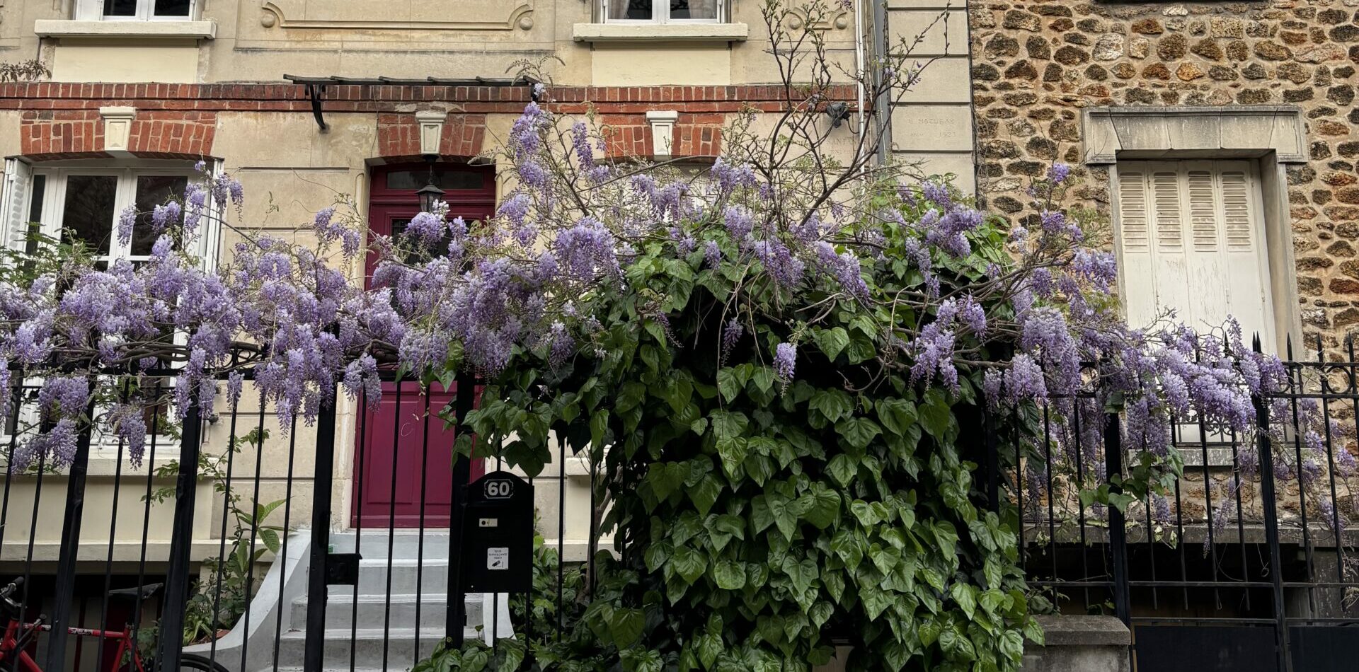 Petite tournée des plus belles glycines du 20e arrondissement de Paris