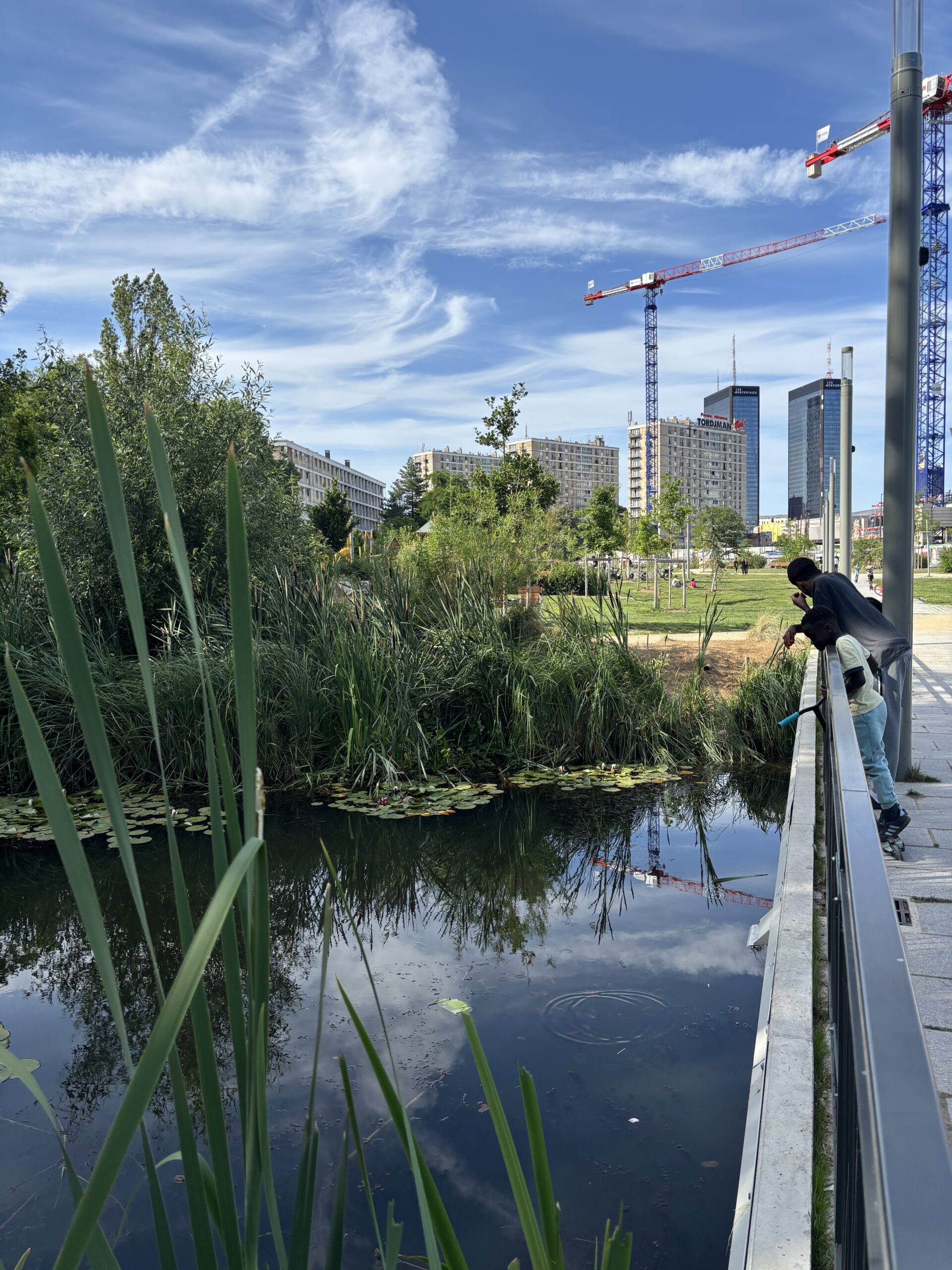 Canicule : les parcs et jardins du 20e arrondissement de Paris ouverts en soirée (ou même toute la nuit !)